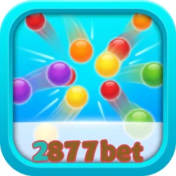 2877bet